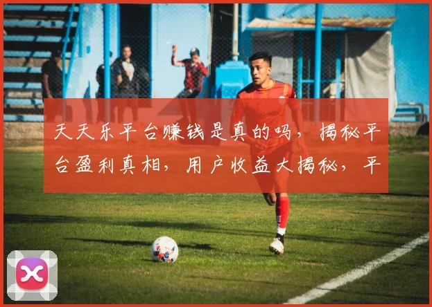 天天乐平台赚钱是真的吗，揭秘平台盈利真相，用户收益大揭秘，平台可靠吗
